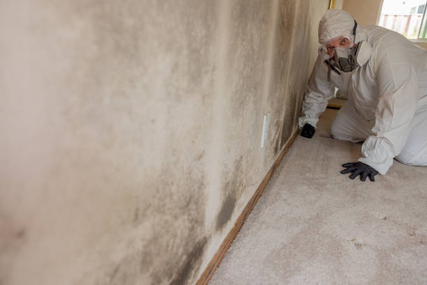 Best Comprehensive Air Testing for Mold Contaminants  in Grand Point, LA